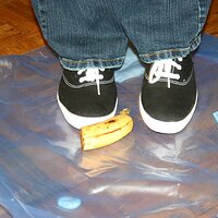  : Gallery : keds : 2008 : 16 : img_4566.jpg