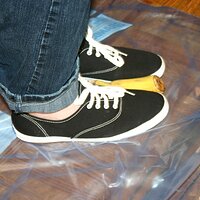  : Gallery : keds : 2008 : 16 : img_4572.jpg