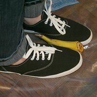  : Gallery : keds : 2008 : 16 : img_4575.jpg