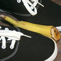  : Gallery : keds : 2008 : 16 : img_4577.jpg