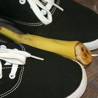  : Gallery : keds : 2008 : 16 : img_4578.jpg