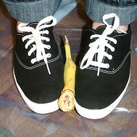  : Gallery : keds : 2008 : 16 : img_4579.jpg