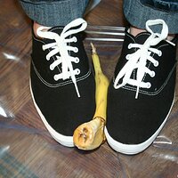  : Gallery : keds : 2008 : 16 : img_4582.jpg
