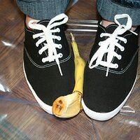  : Gallery : keds : 2008 : 16 : img_4583.jpg