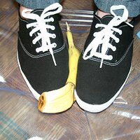  : Gallery : keds : 2008 : 16 : img_4586.jpg