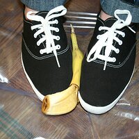  : Gallery : keds : 2008 : 16 : img_4587.jpg