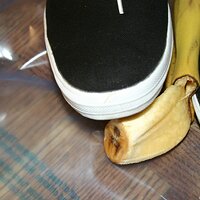  : Gallery : keds : 2008 : 16 : img_4588.jpg