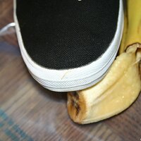  : Gallery : keds : 2008 : 16 : img_4589.jpg