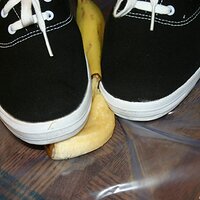  : Gallery : keds : 2008 : 16 : img_4592.jpg