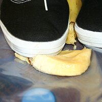  : Gallery : keds : 2008 : 16 : img_4595.jpg