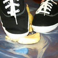  : Gallery : keds : 2008 : 16 : img_4598.jpg