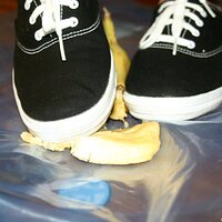  : Gallery : keds : 2008 : 16 : img_4599.jpg