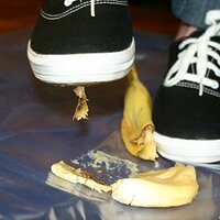  : Gallery : keds : 2008 : 16 : img_4601.jpg