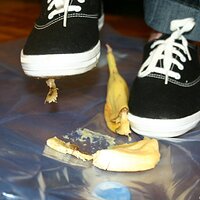  : Gallery : keds : 2008 : 16 : img_4602.jpg