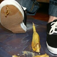  : Gallery : keds : 2008 : 16 : img_4604.jpg