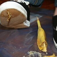  : Gallery : keds : 2008 : 16 : img_4606.jpg