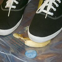  : Gallery : keds : 2008 : 16 : img_4608.jpg