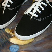  : Gallery : keds : 2008 : 16 : img_4609.jpg