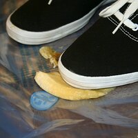  : Gallery : keds : 2008 : 16 : img_4610.jpg