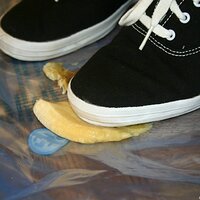  : Gallery : keds : 2008 : 16 : img_4611.jpg