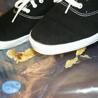  : Gallery : keds : 2008 : 16 : img_4615.jpg
