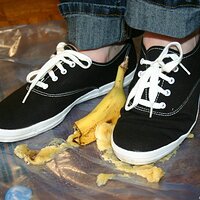  : Gallery : keds : 2008 : 16 : img_4618.jpg