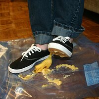  : Gallery : keds : 2008 : 16 : img_4622.jpg
