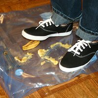  : Gallery : keds : 2008 : 16 : img_4624.jpg