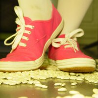  : Gallery : keds : 2008 : 17 : DSC00859.JPG