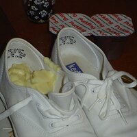  : Gallery : keds : 2008 : 31 : MS_048.jpg