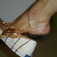  : Gallery : keds : 2008 : 31 : MS_121.jpg