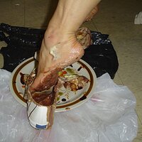  : Gallery : keds : 2008 : 31 : MS_125.jpg