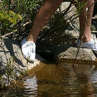  : Gallery : keds : 2008 : 38 : IMG_6741.JPG