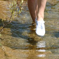  : Gallery : keds : 2008 : 38 : IMG_6754.JPG