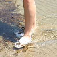  : Gallery : keds : 2008 : 38 : IMG_6784.JPG