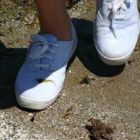  : Gallery : keds : 2008 : 38 : IMG_6794.JPG
