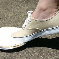  : Gallery : keds : 2008 : 43 : IMG_6841.JPG
