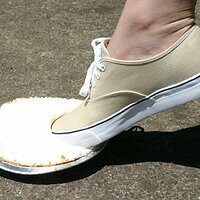  : Gallery : keds : 2008 : 43 : IMG_6842.JPG