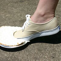  : Gallery : keds : 2008 : 43 : IMG_6853.JPG