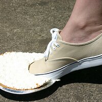  : Gallery : keds : 2008 : 43 : IMG_6857.JPG