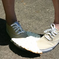  : Gallery : keds : 2008 : 43 : IMG_6886.JPG