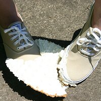  : Gallery : keds : 2008 : 43 : IMG_6890.JPG