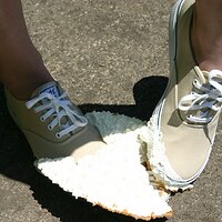  : Gallery : keds : 2008 : 43 : IMG_6891.JPG
