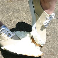  : Gallery : keds : 2008 : 43 : IMG_6892.JPG