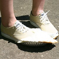  : Gallery : keds : 2008 : 43 : IMG_6902.JPG