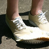  : Gallery : keds : 2008 : 43 : IMG_6904.JPG