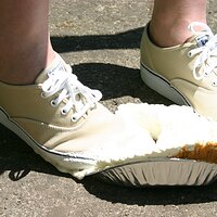  : Gallery : keds : 2008 : 43 : IMG_6906.JPG