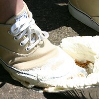  : Gallery : keds : 2008 : 43 : IMG_6908.JPG