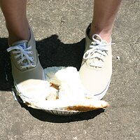  : Gallery : keds : 2008 : 43 : IMG_6914.JPG