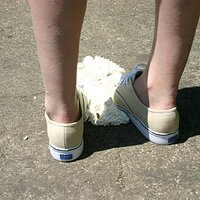  : Gallery : keds : 2008 : 43 : IMG_6927.JPG